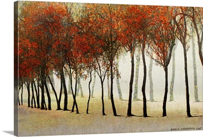 Row Of Trees Red