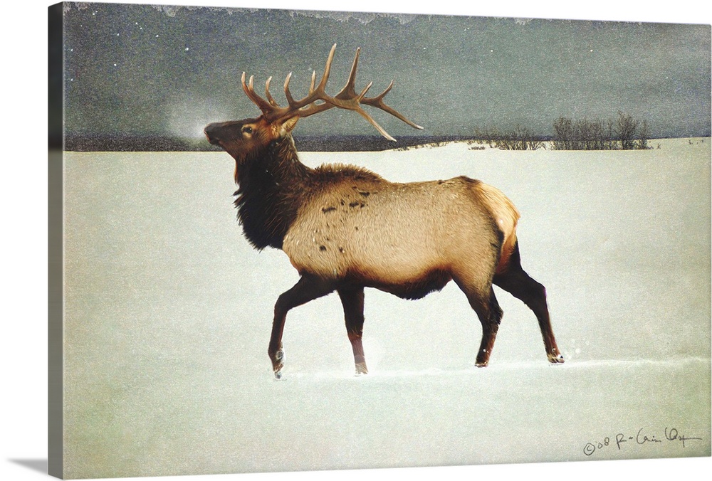 Contemporary artwork of an elk standing in a snowy field.