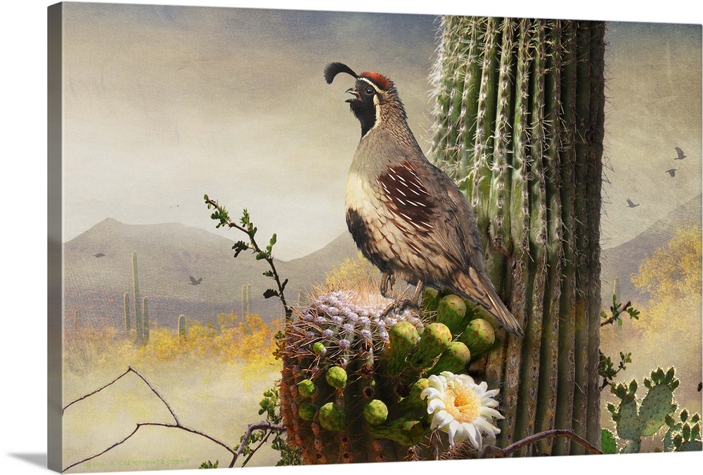 Contemporary artwork of a quail perched on a desert cactus.