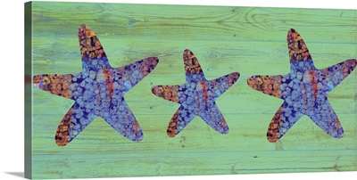 Starfish on Green