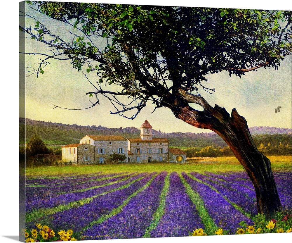 Tree Lavender Villa