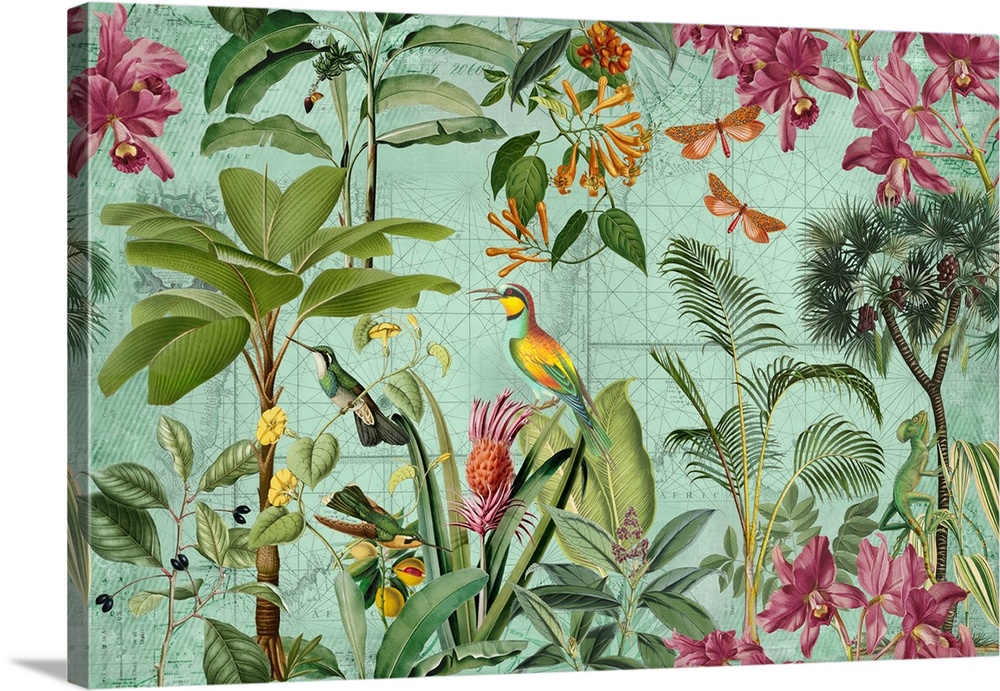 Vintage style illustration with exotic birds and tropical plants across historic map.