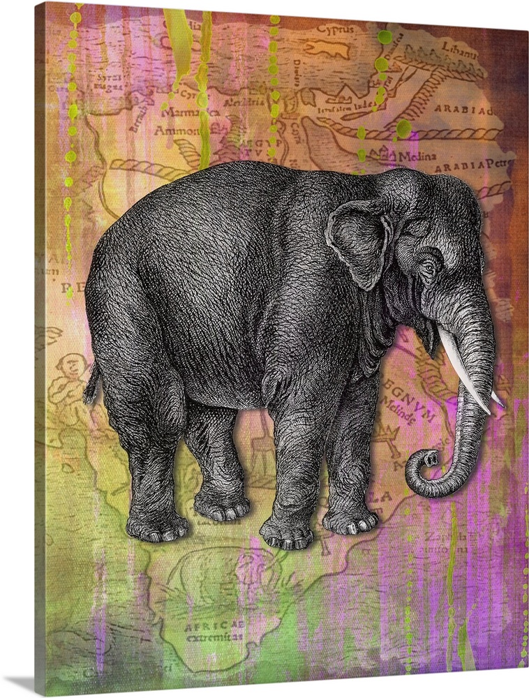 Colourful vintage effect mixed media elephant print.