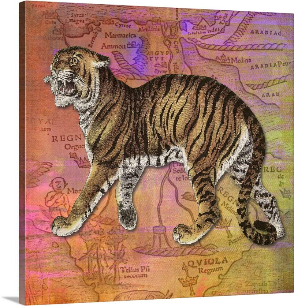 Colourful vintage effect mixed media Tiger print.
