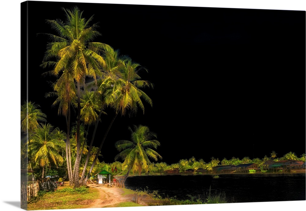 A beach with palm trees in Asia against the dark sky
