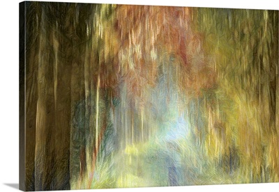 A Narrow Path