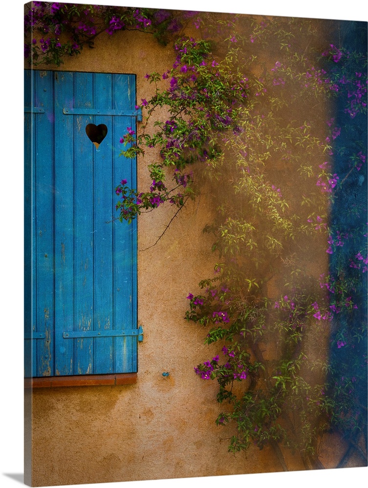 Photograph of a French facade with a window and blue wooden shutters framed by a vine with little purple flowers.