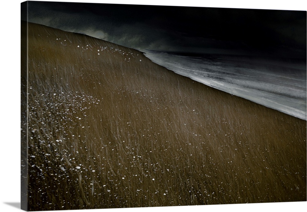 Abstract photograph of a beach landscape with dark ocean waves crashing on a dark sandy beach with white specks and thin l...