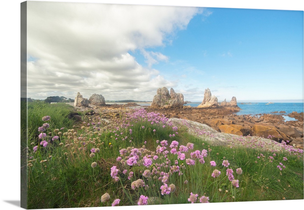 Briitany landscape in Pors Scaff area with pink flowers and blue sky.