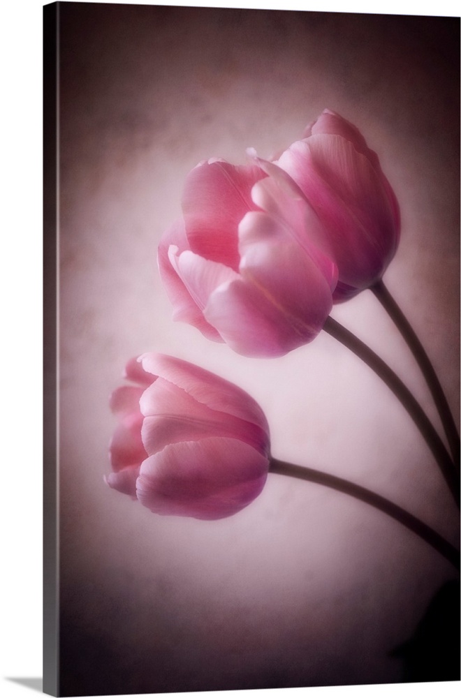 Tulips with the addition of a photo texture