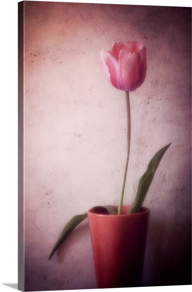 A tulip in a pot with added photo texture