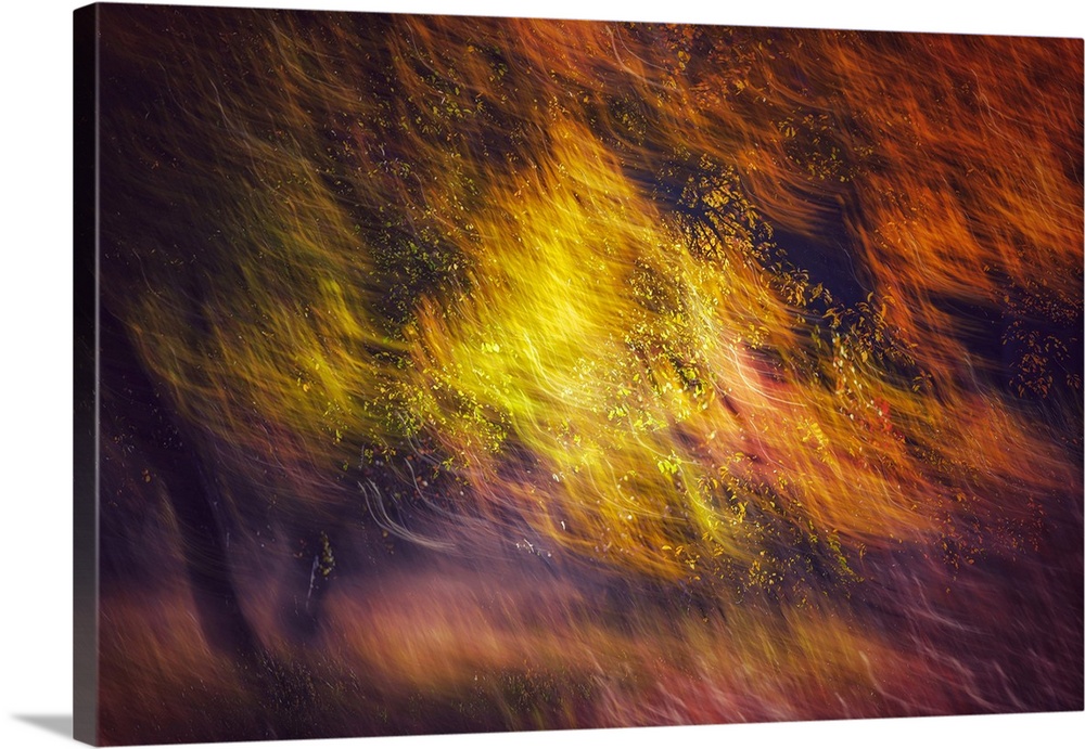 Double exposure photo of a tree in Fall, showing both still leaves and branches and the same leaves and branches blowing i...