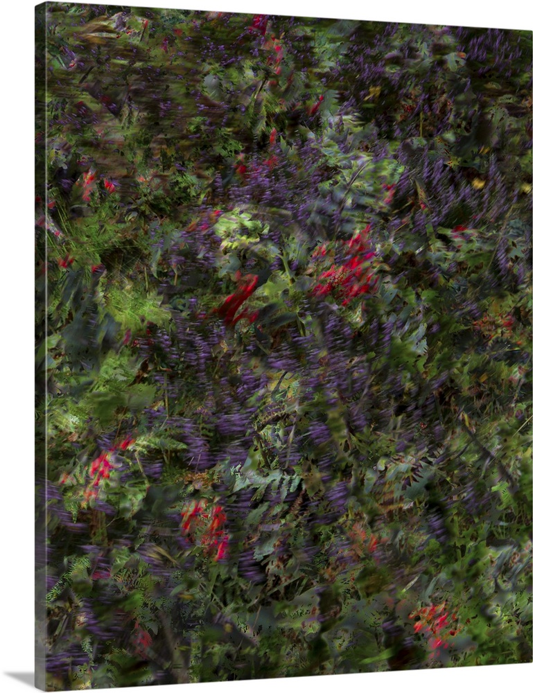 Blurred abstract image of autumn plants with red and purple.