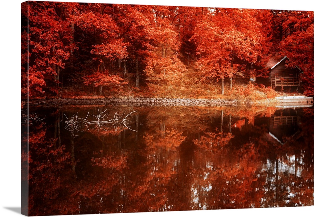 Forest of trees in fall colors reflected in a lake.