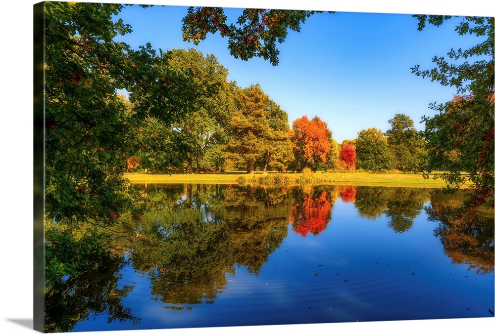 Nature in autumn around a pond