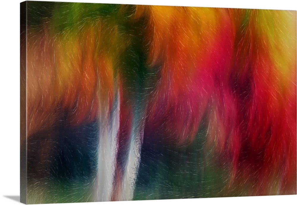 Abstract artwork with swirls of bright colors and lines running throughout over two vertical white areas.
