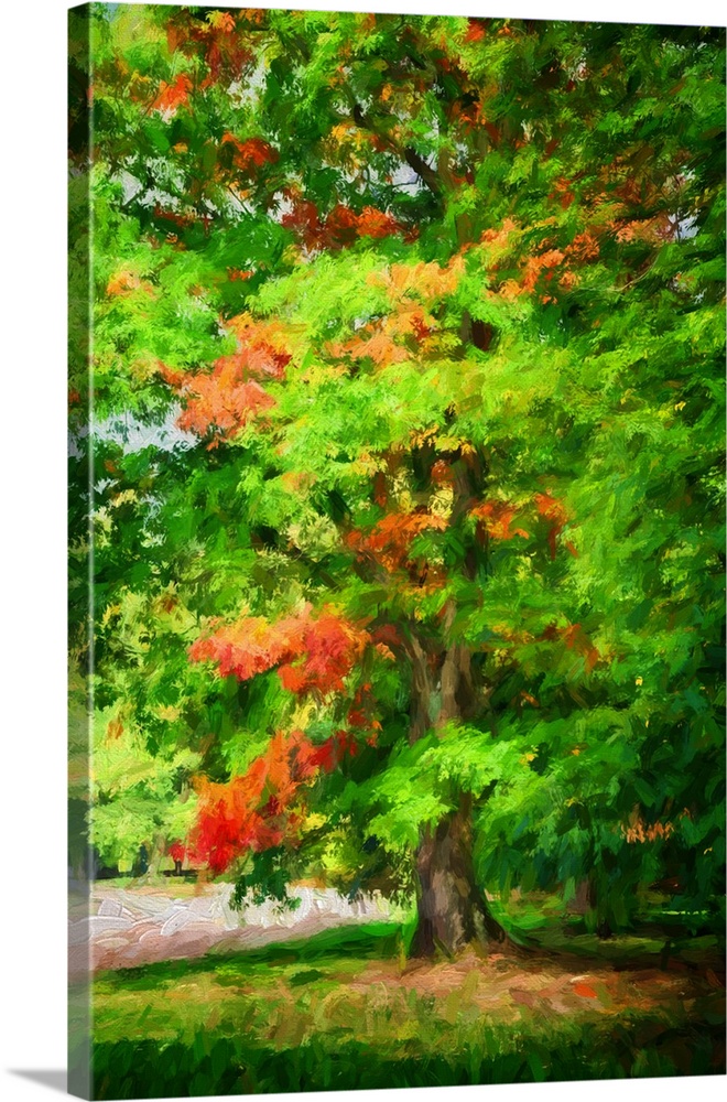 An oak in early fall with a expressionist photo or painterly process