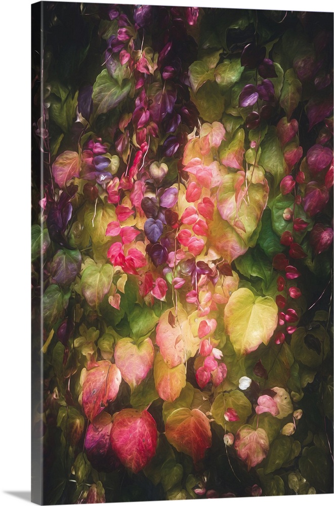 Vibrant foliage in a kaleidoscope of colors, including shades of pink, purple, and green, creates a lush, cascading effect...