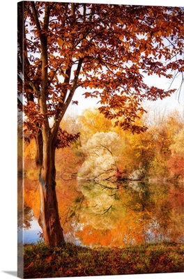 Autumnal Frame