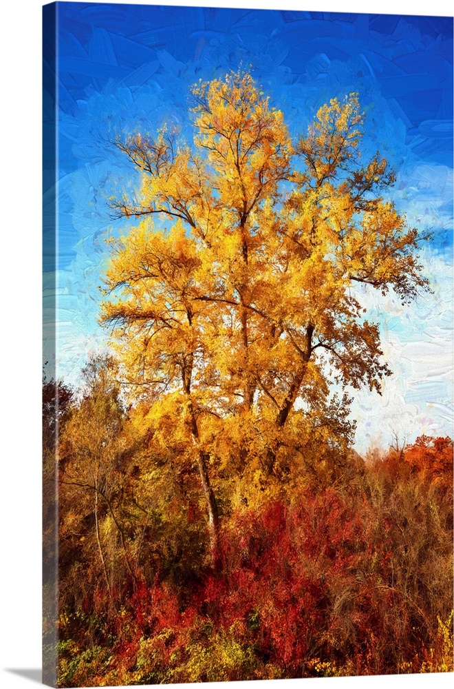 Yellow tree with expressionist photo or painterly effect
