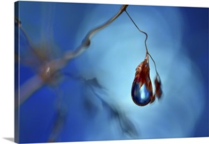 Big Blue image thumbnail