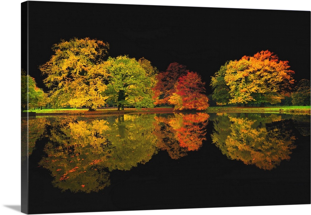 Autumn trees lining a lake and reflecting into the water, with a dark black sky.