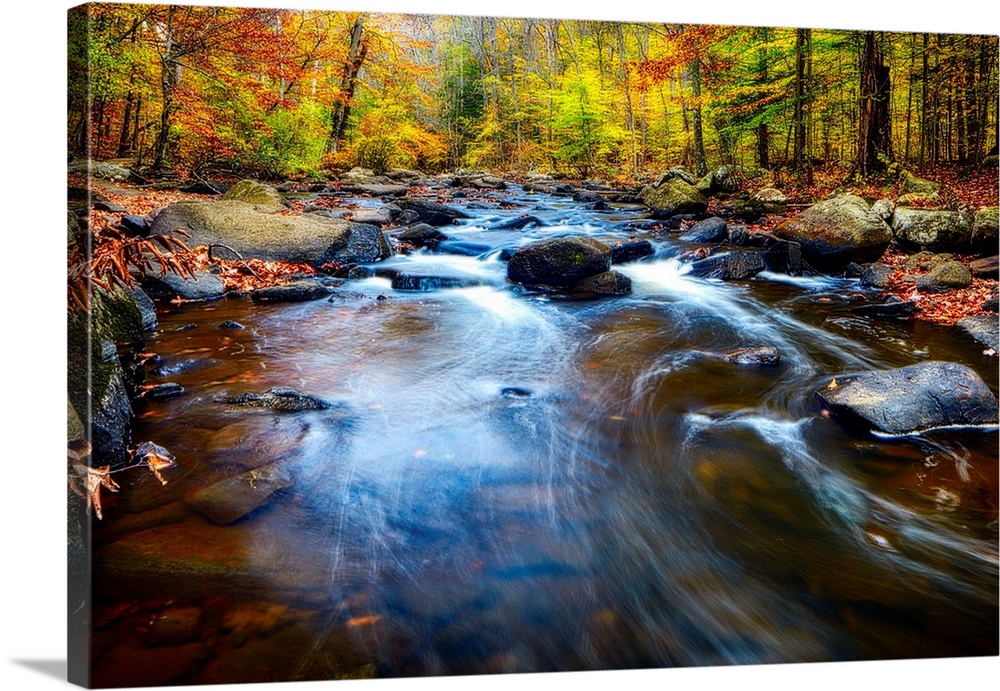 Rushing water in a river in a forest in autumn, New Jersey.