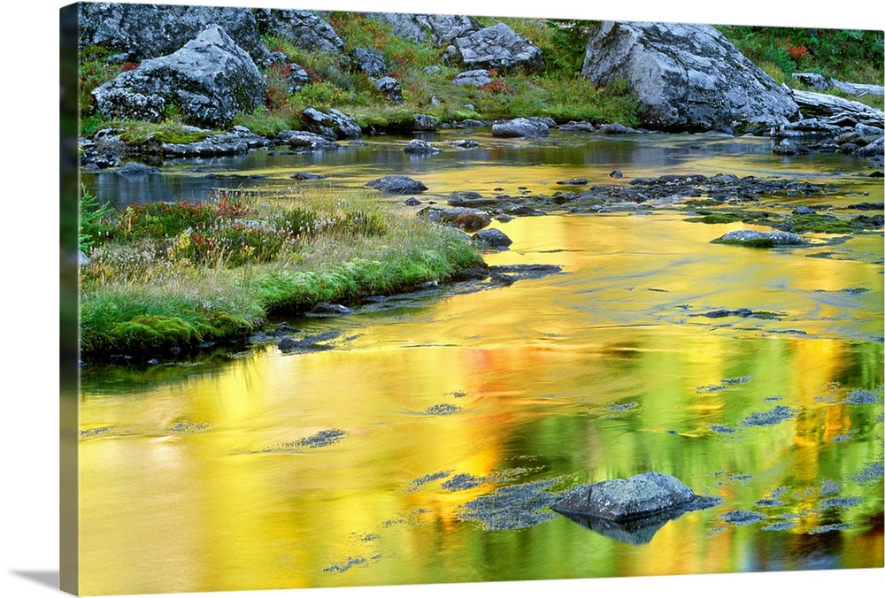Fall colored leaves reflect in a rocky stream.