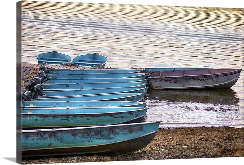 A photograph of blue row boats sitting on the shoreline of a lake.