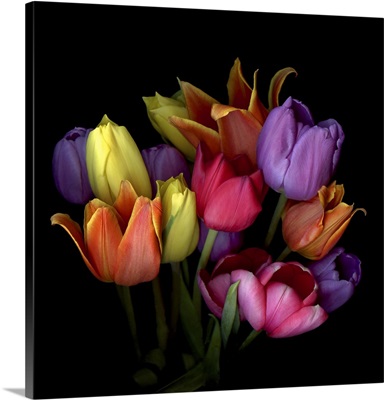 Bouquet Of Tulips