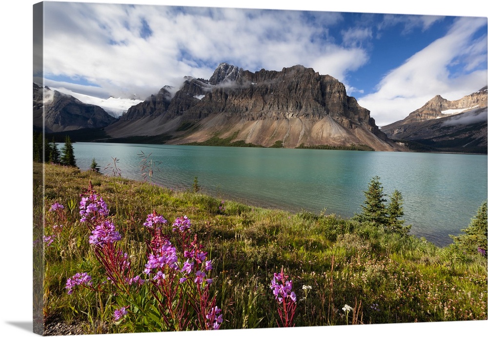 Bow Lake with the Crowfoot Mountain and Red Wildflowers, Banff National Park, Alberta, Canada
