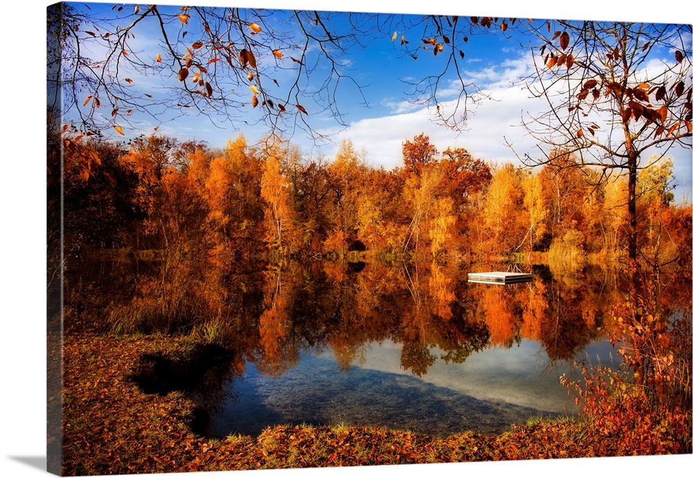 Autumn forest surrounding a lake
