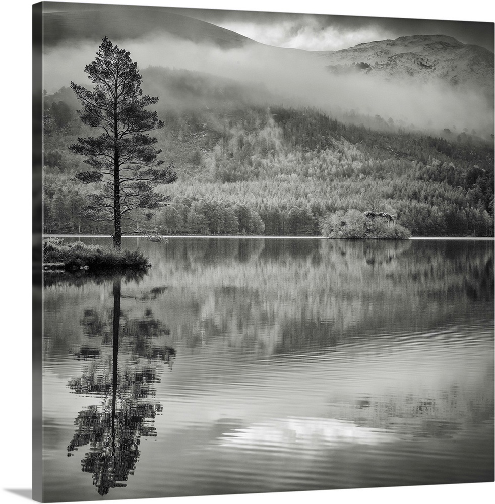 A monochrome lake with beautiful reflections of the trees and hills from the Scottish Cairngorm National Park, UK.