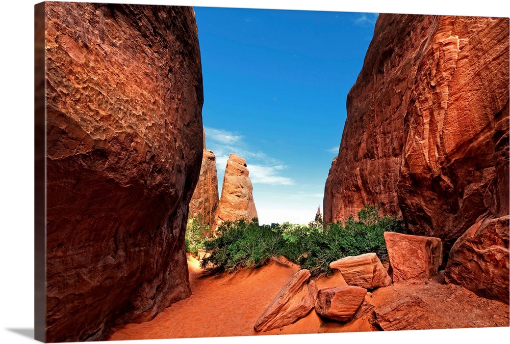 Red Canyon with blue sky in summer