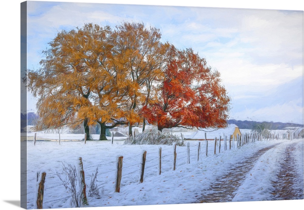 Golden and red autumn leaves adorn the trees, standing in stark contrast to the freshly fallen snow that covers the ground...