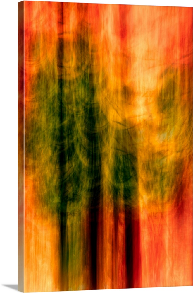 Blurred motion photograph of trees in deep red light, from Ursula Abresch's Impressionist Trees Series.