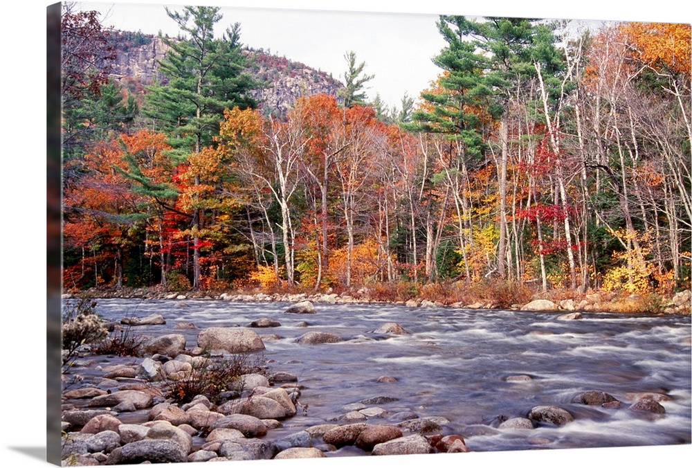 This landscape photograph shows water running rapidly through a rock filled river bed lined with autumn trees in the mount...