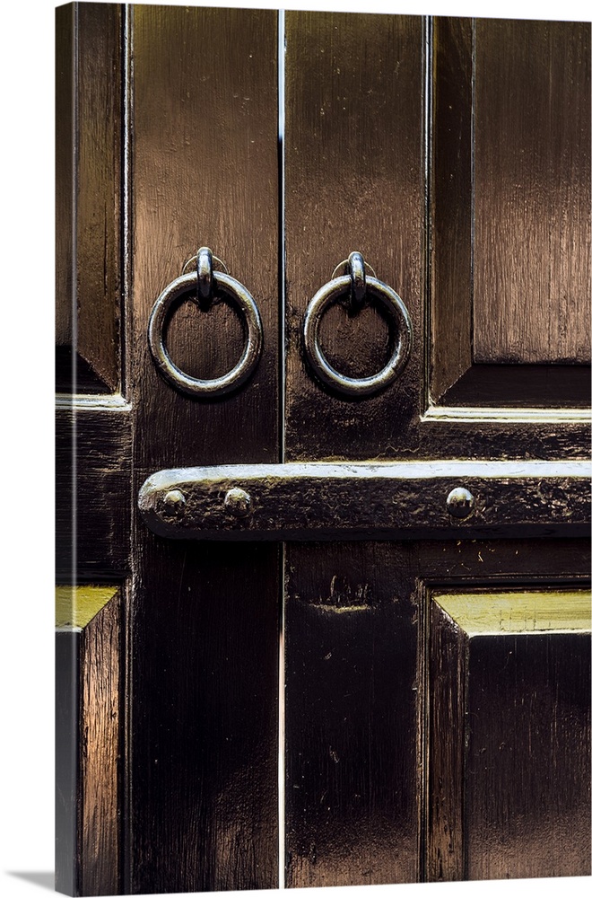Round knockers on a deep brown door in Charleston, South Carolina.