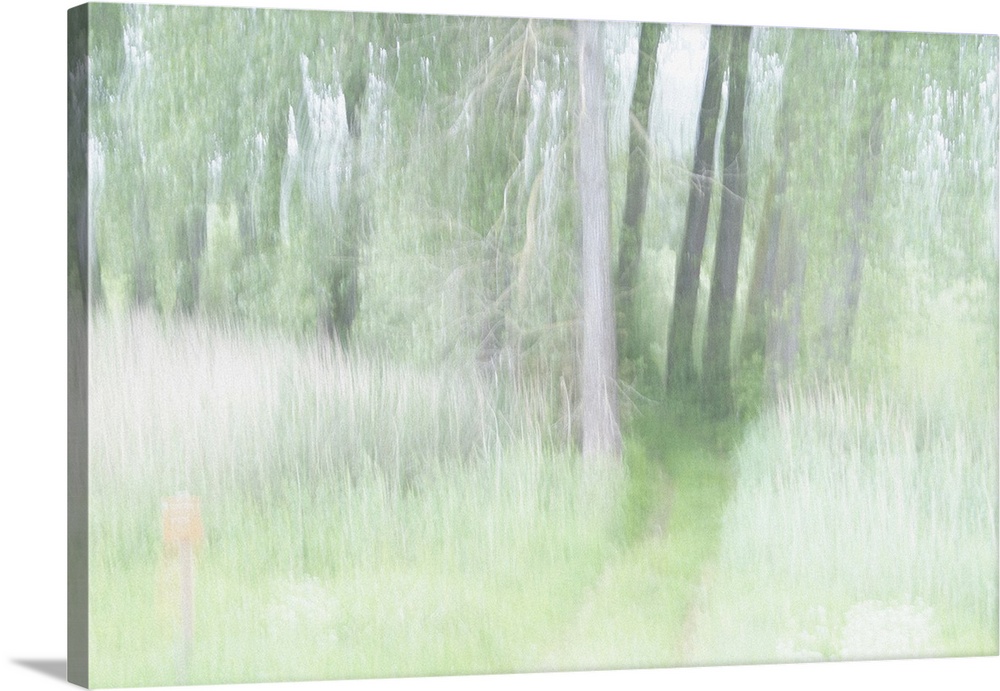 Artistically blurred photo. A bright sunny day in a forest in the nature reserve Ooijpolder near the city of Nijmegen, The...