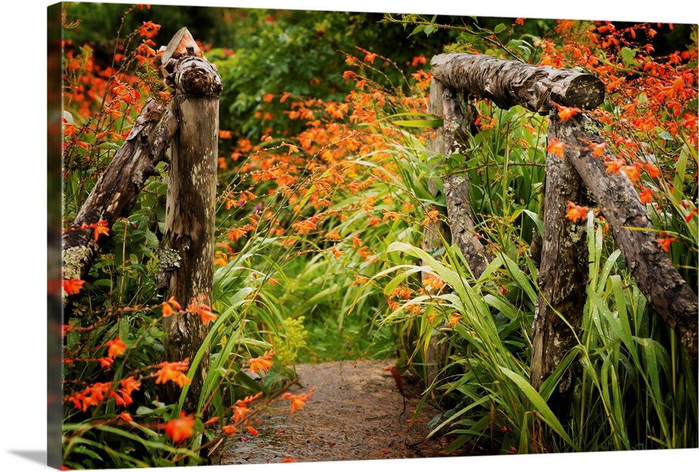 Fine art photo of a garden path with bright flowers and a wooden gate.