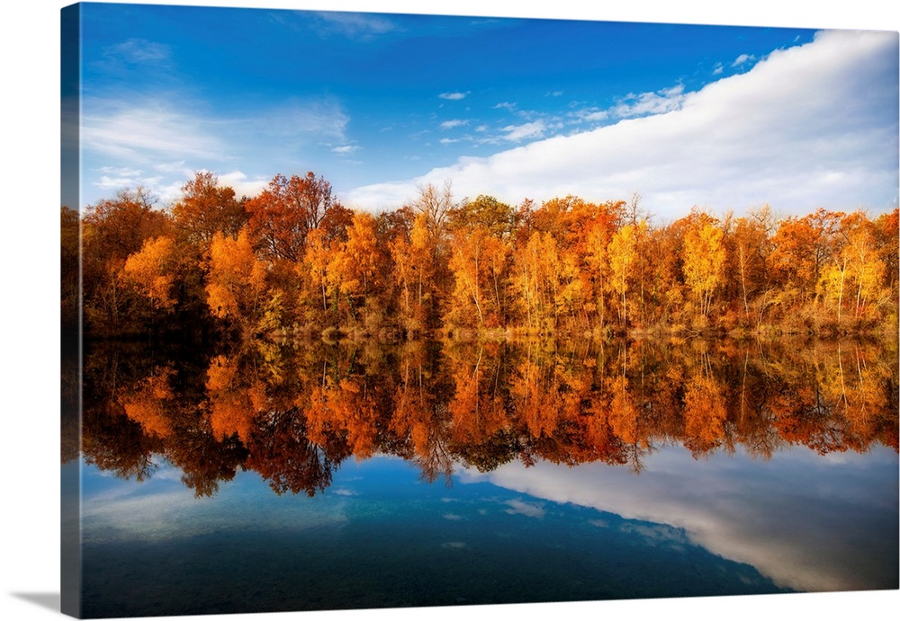 Reflections of trees in autumn in a lake