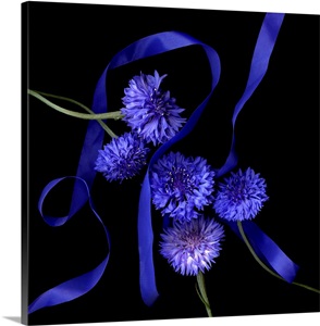 Cornflowers image thumbnail