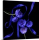 image thumbnail of Cornflowers