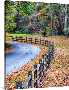 Country Road In Bucks County, Pennsylvania During Fall Season image thumbnail