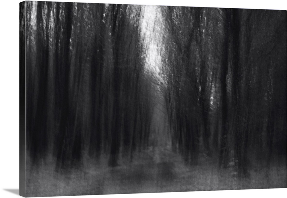Artistically blurred photo. Old forest Dover Plantage in North Jutland, Denmark, on a dark winter day.
