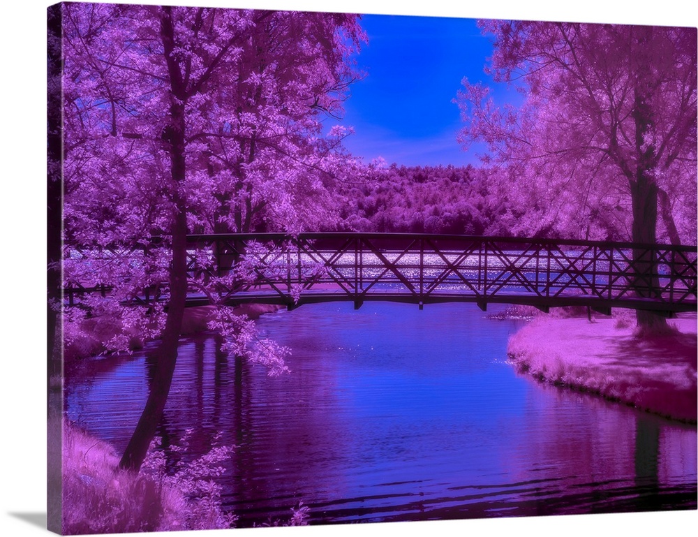 Surreal photograph of a long bridge over a river lined with bright purple trees.