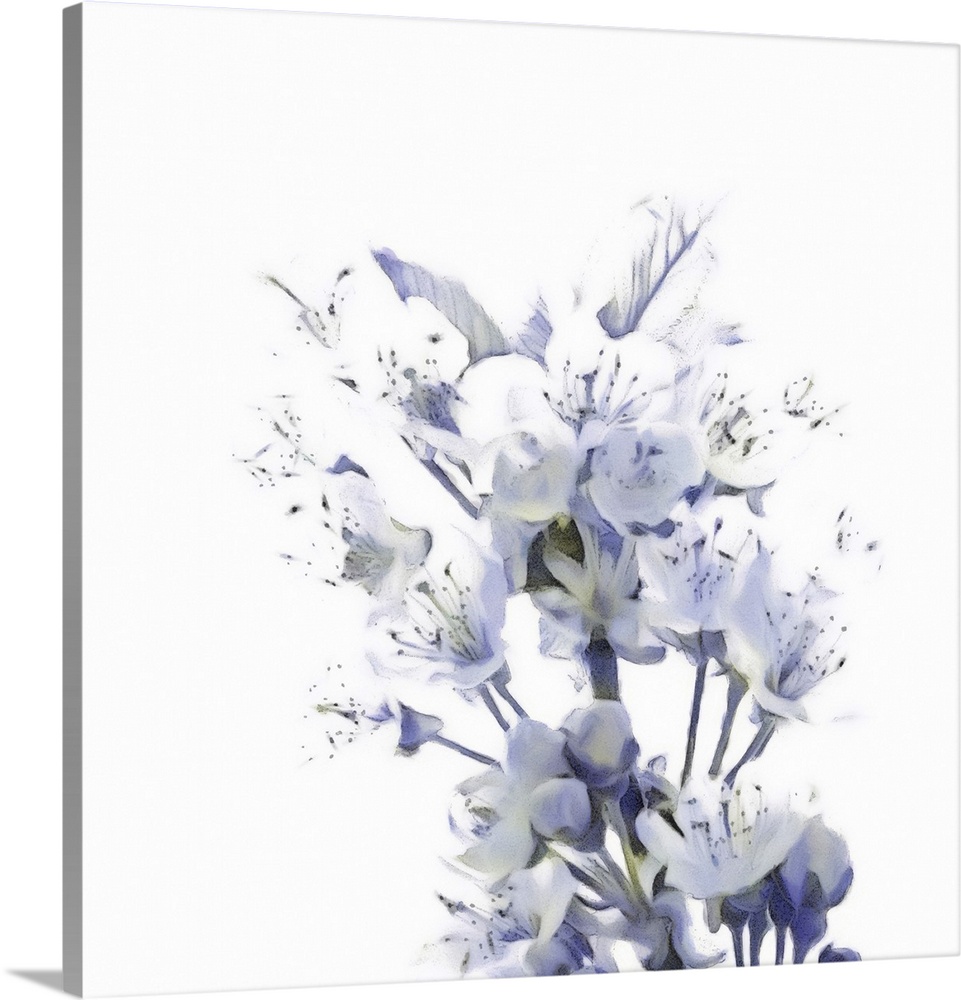 Dazzling Into The Light 2