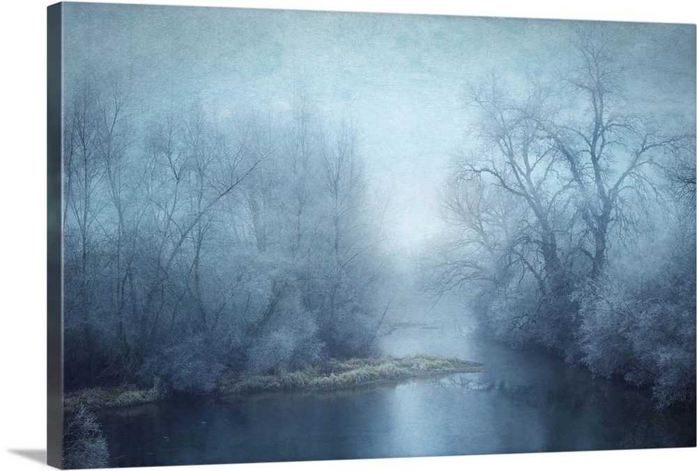 Blue toned photograph of a calm lake surrounded with winter trees.
