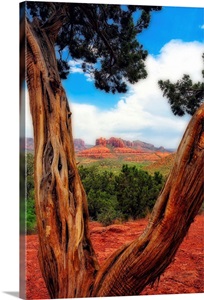 Desert Reds image thumbnail