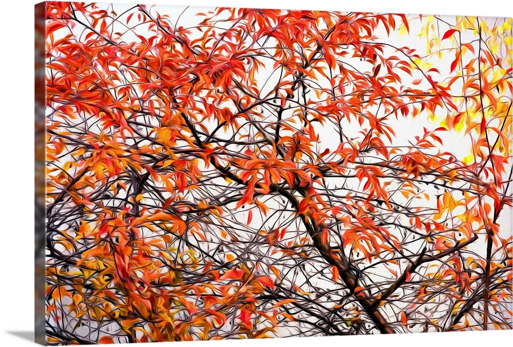 Image of red, orange, and yellow Autumn leaves on a tree with a painted effect.